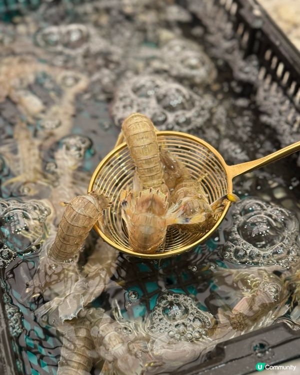 3百幾食海鮮bino放題 正