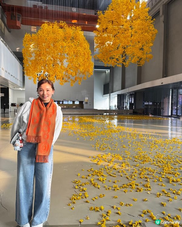 上海雙年展：花聽到蜂了嗎？🌸🐝