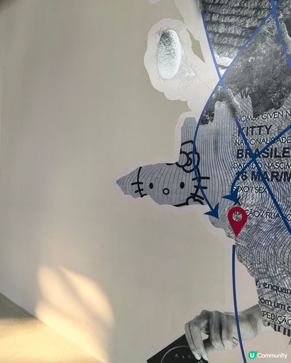 上海雙年展：花聽到蜂了嗎？🌸🐝