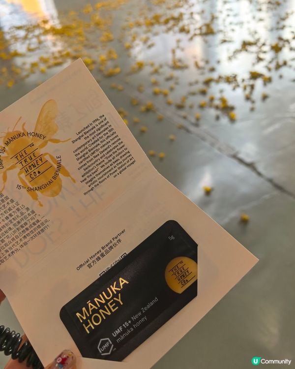 上海雙年展：花聽到蜂了嗎？🌸🐝