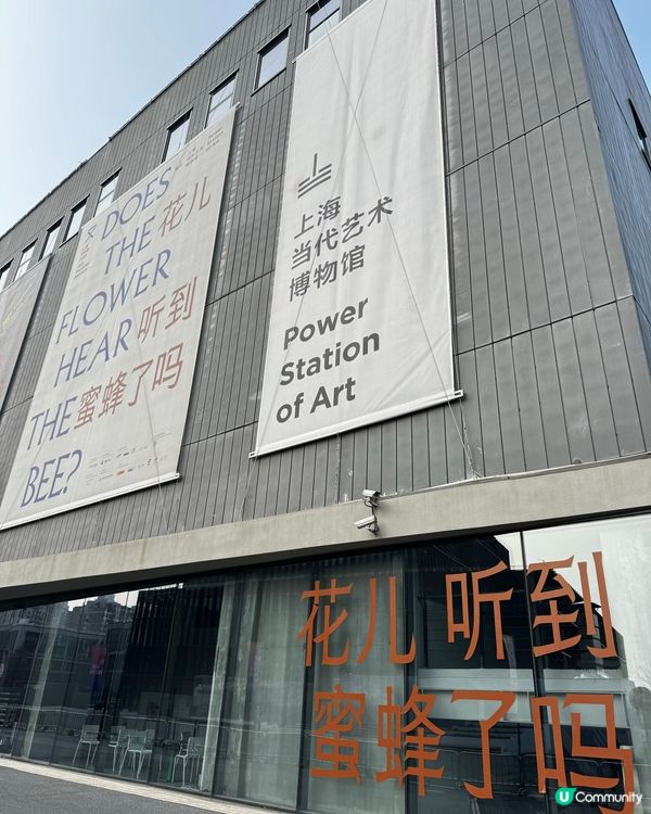 上海雙年展：花聽到蜂了嗎？🌸🐝