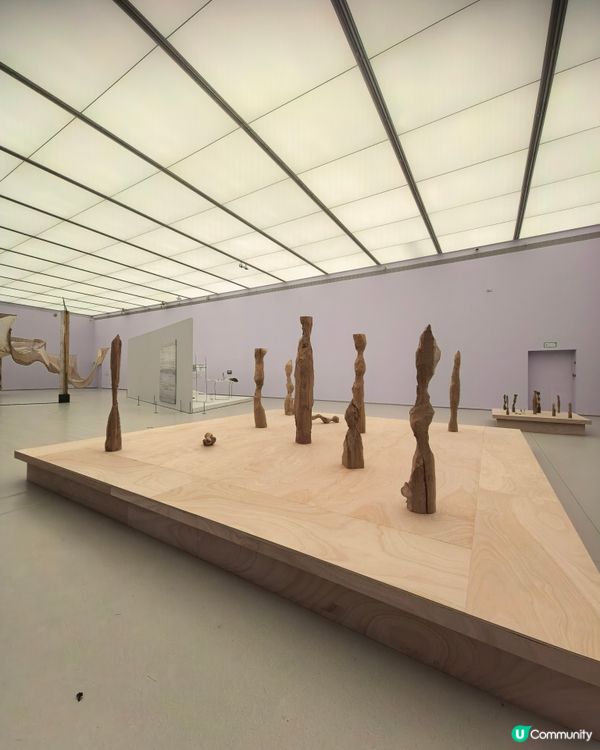 上海雙年展：花聽到蜂了嗎？🌸🐝