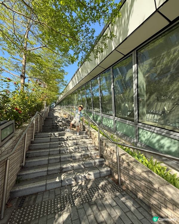 西九貓咪打卡！🐈✨ 必玩親子好去處！