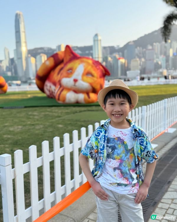 西九貓咪打卡！🐈✨ 必玩親子好去處！