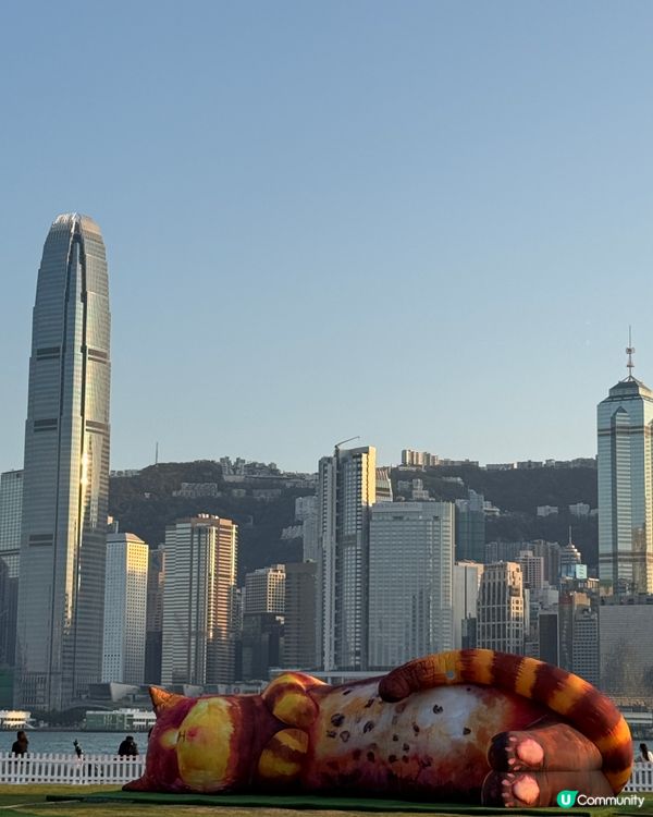 西九貓咪打卡！🐈✨ 必玩親子好去處！