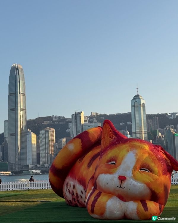 西九貓咪打卡！🐈✨ 必玩親子好去處！