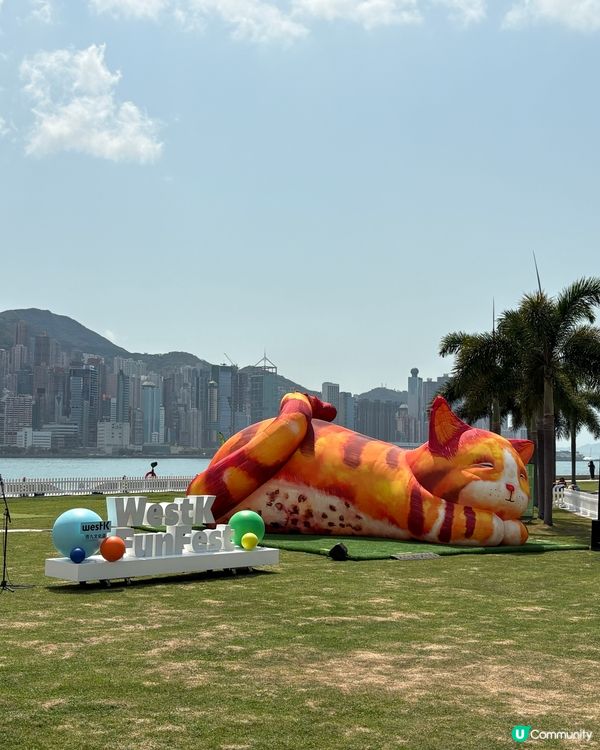 夢遊貓境快閃 ，西九家Fun藝術節互動裝置