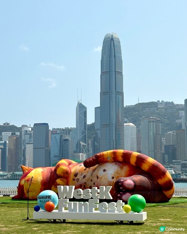 夢遊貓境快閃 ，西九家Fun藝術節互動裝置