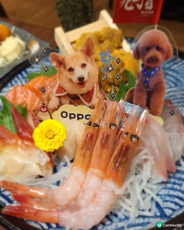 九丁目美食趴！🐶💖