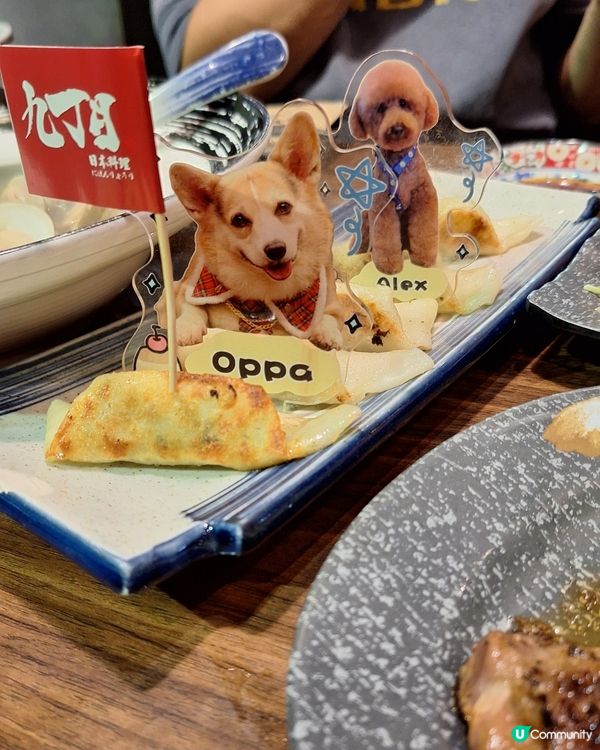 九丁目美食趴！🐶💖