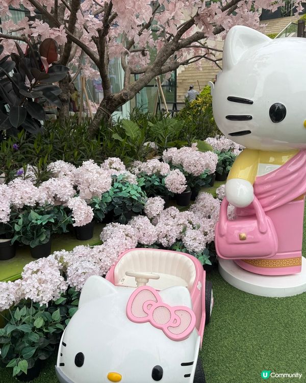 🎂深圳慶祝生日要黎呢間餐廳！超靚生日佈置