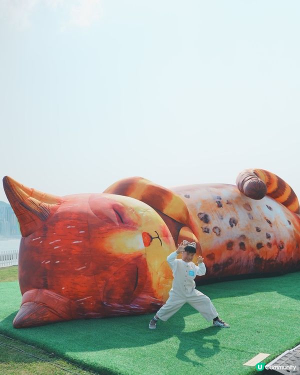 😍夢遊喵境🐱喵星人駕臨西九文化區🐱