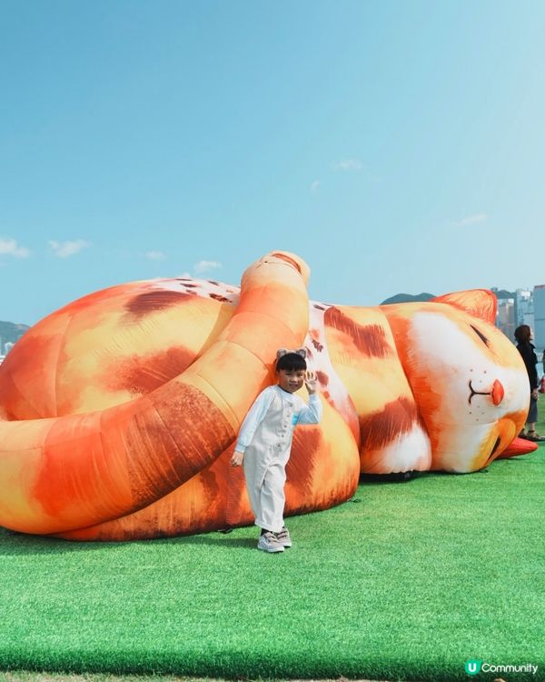 😍夢遊喵境🐱喵星人駕臨西九文化區🐱