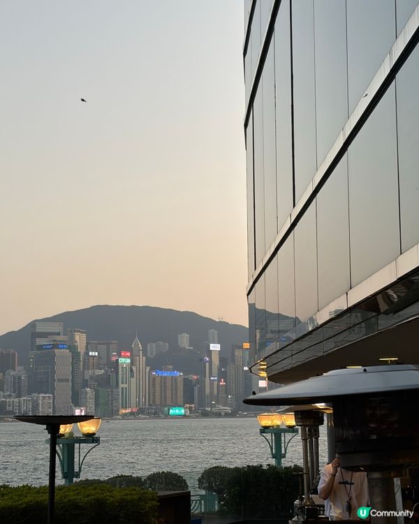 免費無人機表演😍黃埔夜景🍹泰菜西餐💯😋