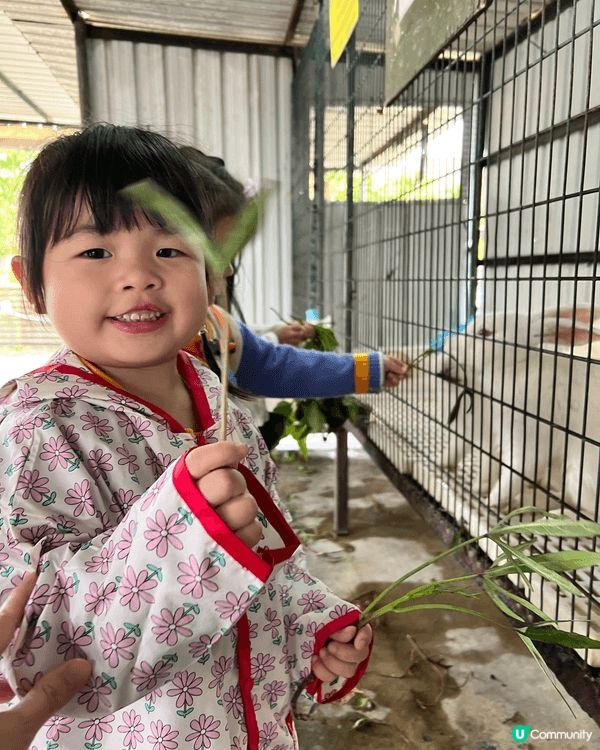 今次想介紹錦田鄉村俱樂部，是次活動由學校帶我哋去玩，可以BB...