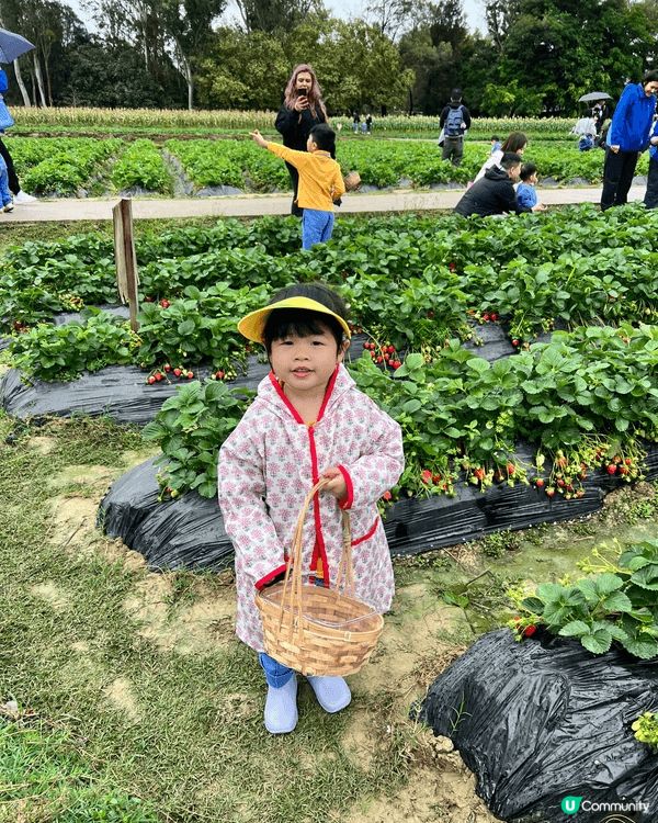 今次想介紹錦田鄉村俱樂部，是次活動由學校帶我哋去玩，可以BB...