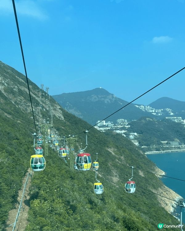 這裏全部都是海洋公園相