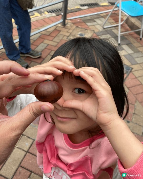 秋冬限定香港傳統炒栗子車仔檔體驗，先由繪本去了解栗子🌰既故事...