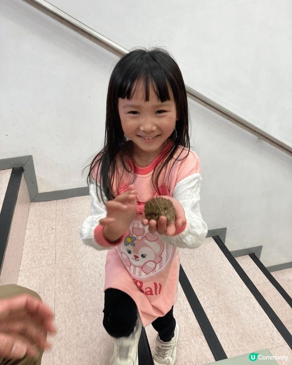 秋冬限定香港傳統炒栗子車仔檔體驗，先由繪本去了解栗子🌰既故事...