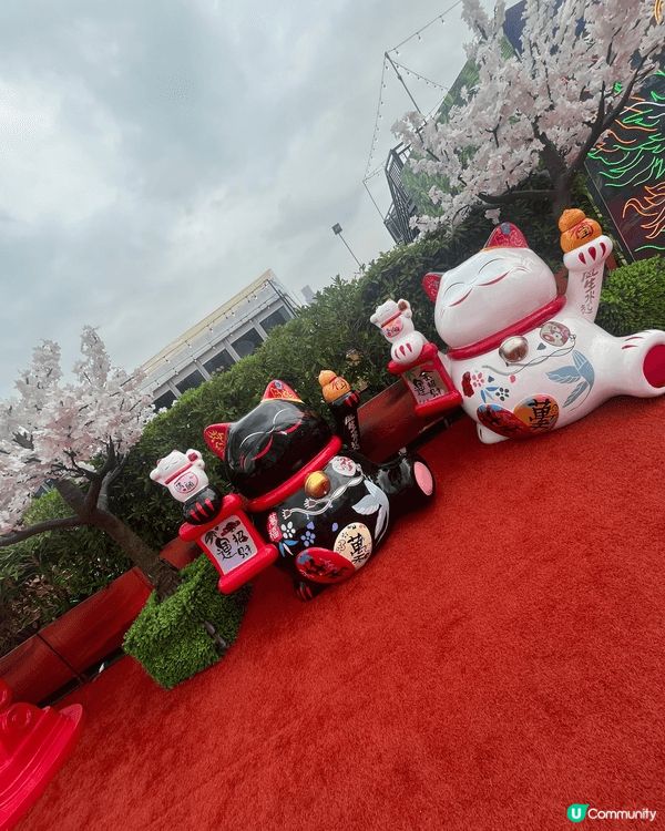 同班死黨相約high爆AIA友邦嘉年華！嗰日中環海濱燈火通明...