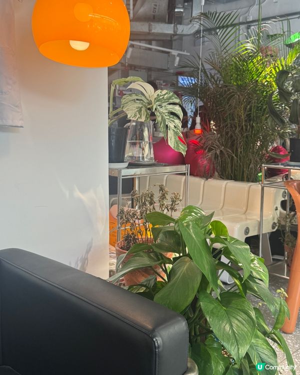 韓系打卡靚Cafe🌟有齊大熱美食！