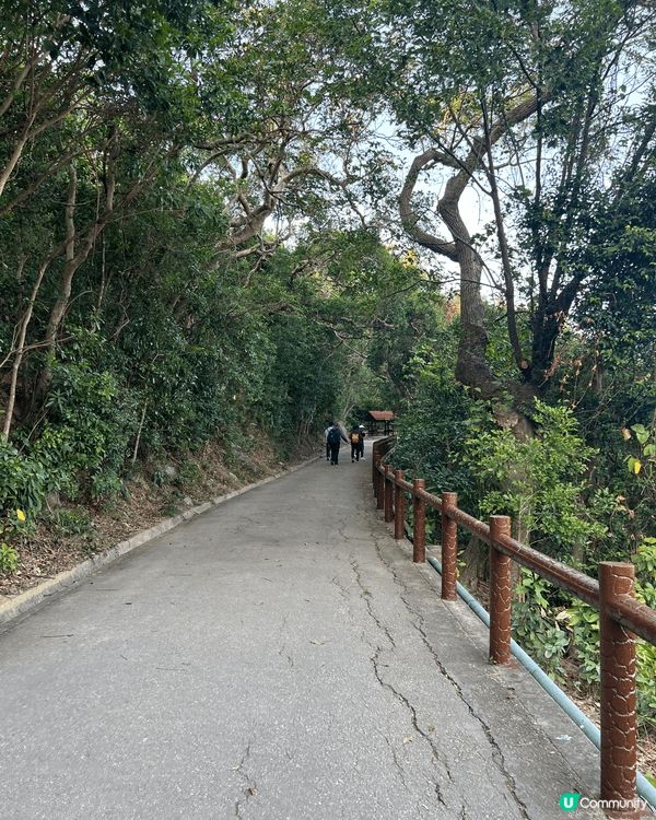 漁村風光🚶‍♀️賞心悅目！