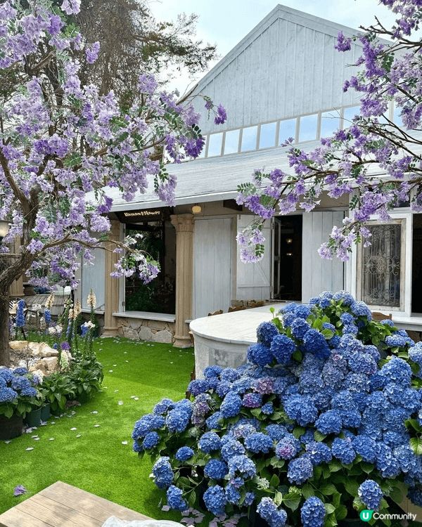 朋友介紹的深圳L'amant Manor .花海的佈置，令人...