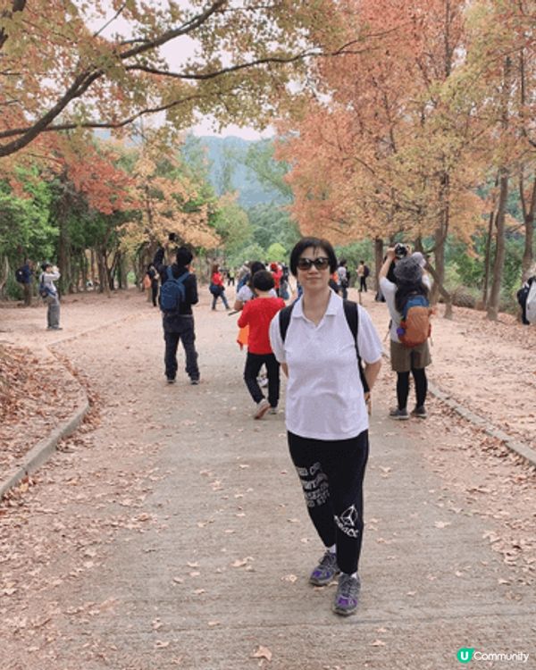 在大棠觀賞「紅葉」美景，遊人帶埋寵物同遊，增添與寵物共融氣氛...