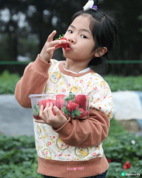 位於錦田水頭村的錦田鄉村俱樂部佔地100萬平方尺，親親大自然...