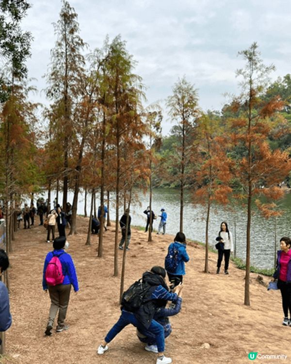 1：九龍城寨是上了年纪的人回憶2：黃大仙廟是市區裡最有人煙氣...