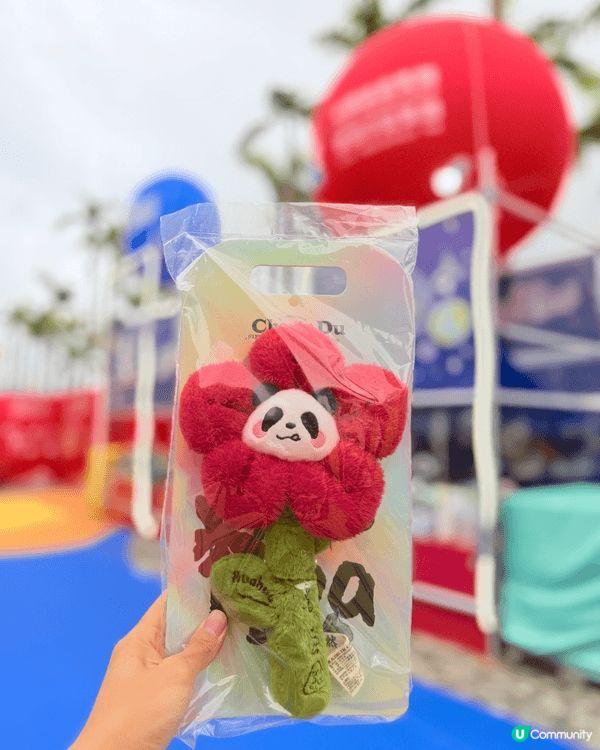 就在香港尖沙咀！無意間發現了免費的🐼熊貓嘉年華！