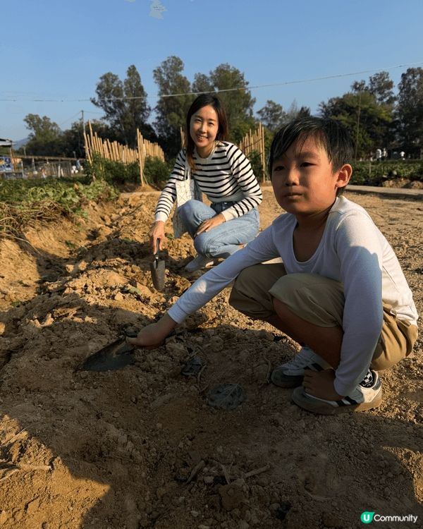 錦田鄉村俱樂部，耕種親子活動 