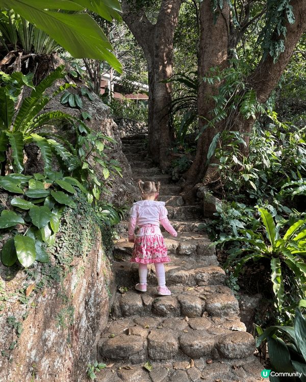 我覺得嘉道理農場好適合親子活動，因為佢可以行山，另外亦都可以...