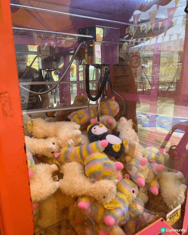 親子好去處嘅地方梗係要去戶外，而我就會推介去本土嘅菠蘿園，佢...