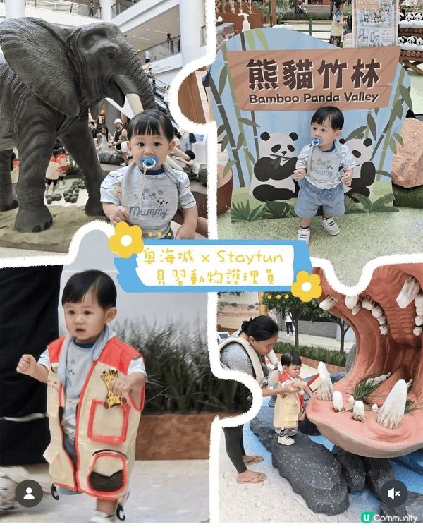 本人為在職媽媽，假日喜歡帶兒子四處玩，包括公園博物館商場展區...