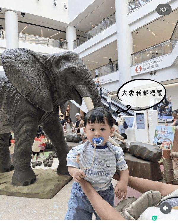 本人為在職媽媽，假日喜歡帶兒子四處玩，包括公園博物館商場展區...