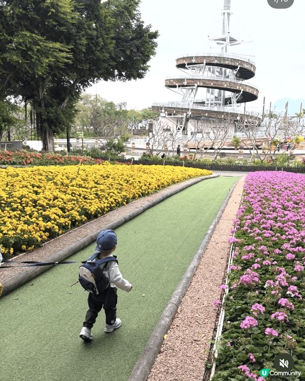 本人為在職媽媽，假日喜歡帶兒子四處玩，包括公園博物館商場展區...