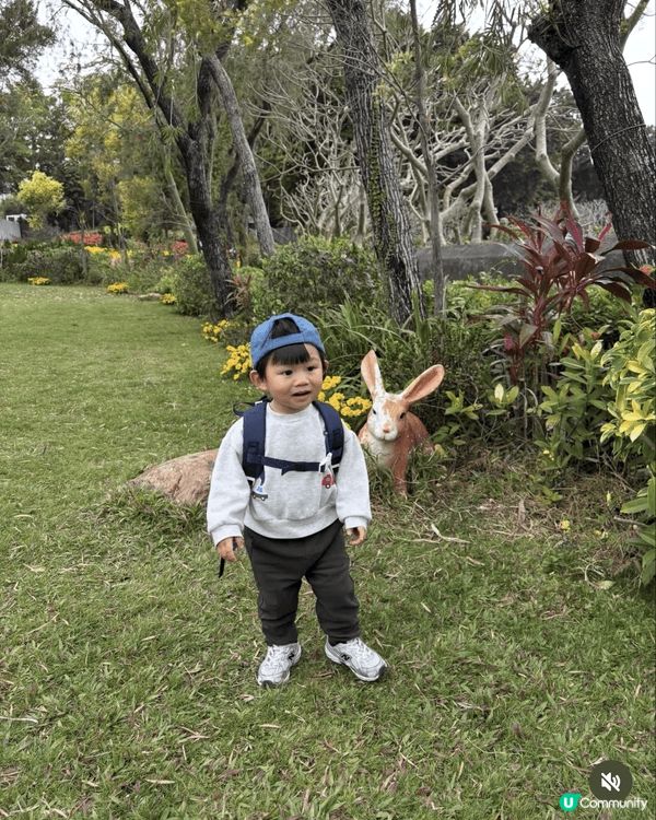 本人為在職媽媽，假日喜歡帶兒子四處玩，包括公園博物館商場展區...