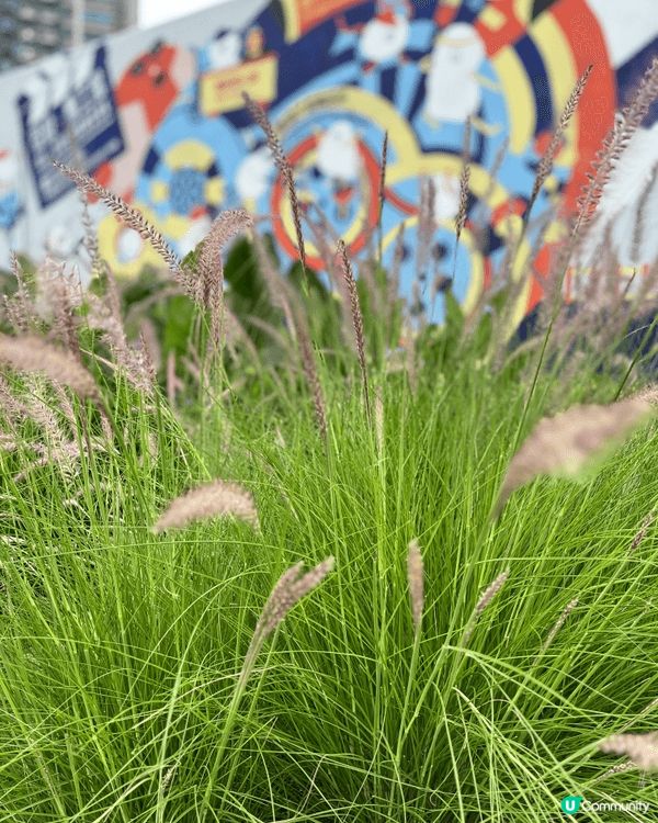 鑽石山活水公園 - 搵緊周末好去處、親子好去處、拍拖好去處，...