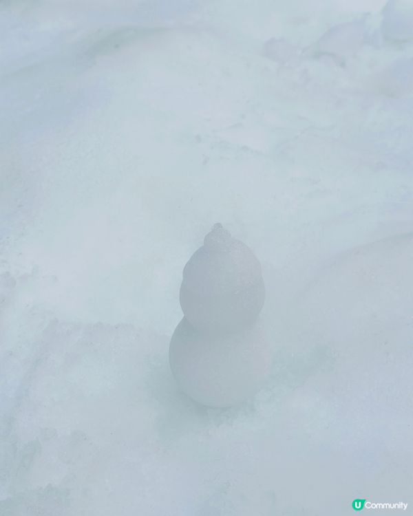 【佛山盈香心動樂園｜現實版飛車🚗+餵鹿🦌一日遊攻略】