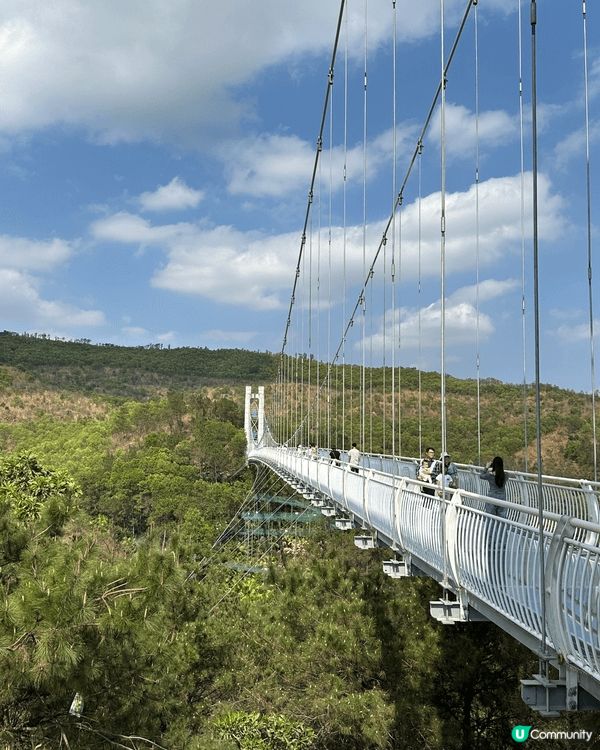 【佛山盈香心動樂園｜現實版飛車🚗+餵鹿🦌一日遊攻略】