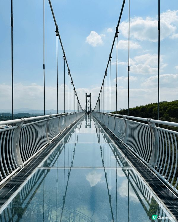 【佛山盈香心動樂園｜現實版飛車🚗+餵鹿🦌一日遊攻略】