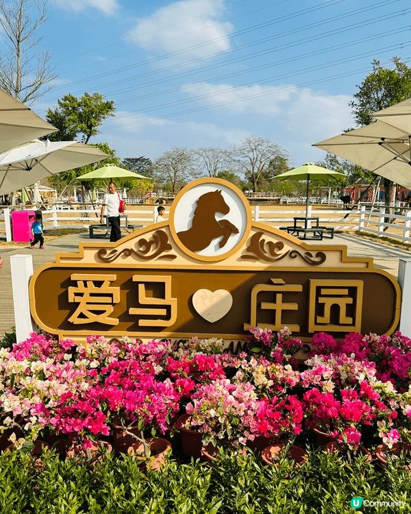 【佛山盈香心動樂園｜現實版飛車🚗+餵鹿🦌一日遊攻略】