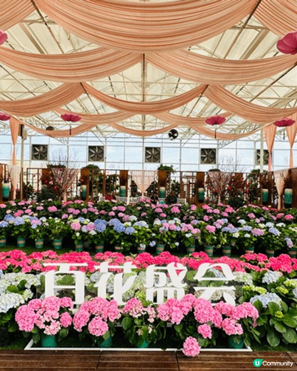 【佛山盈香心動樂園｜現實版飛車🚗+餵鹿🦌一日遊攻略】