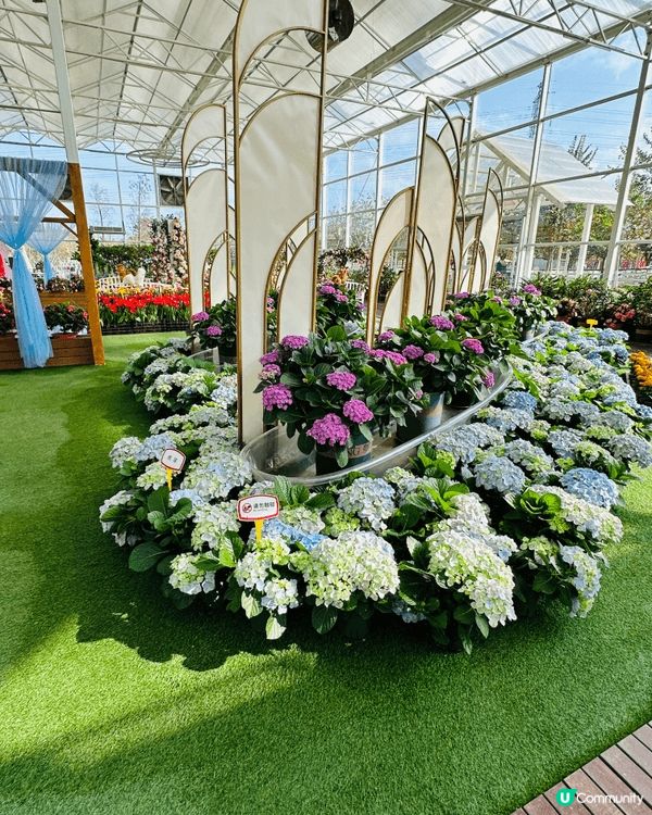 【佛山盈香心動樂園｜現實版飛車🚗+餵鹿🦌一日遊攻略】