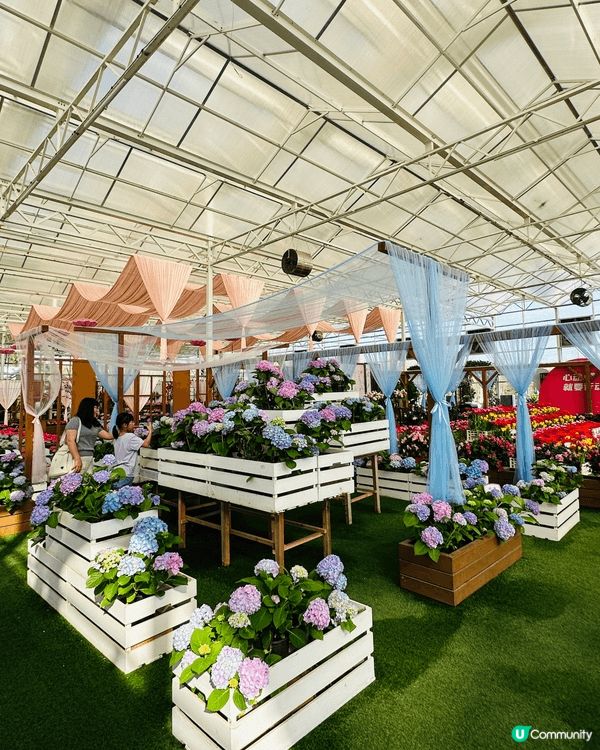 【佛山盈香心動樂園｜現實版飛車🚗+餵鹿🦌一日遊攻略】