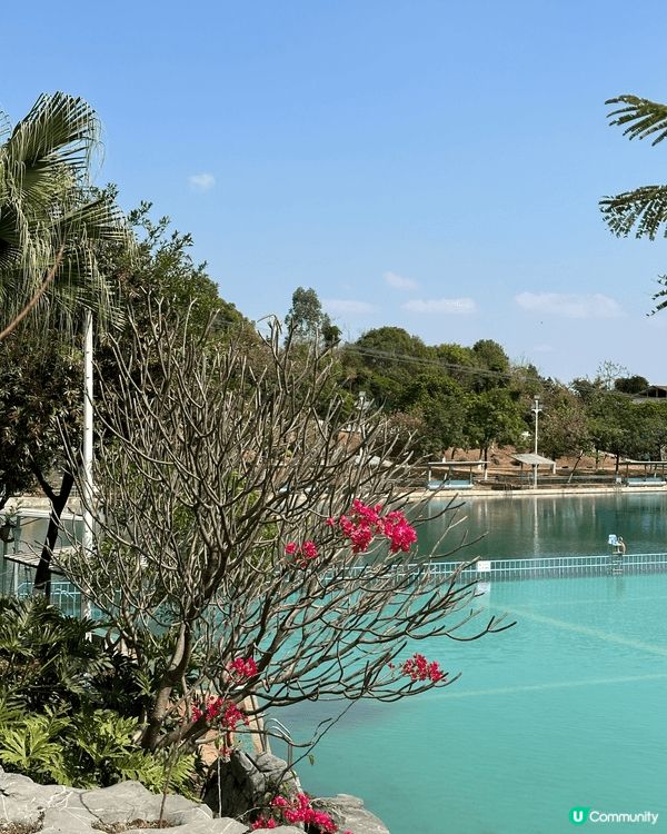 【佛山盈香心動樂園｜現實版飛車🚗+餵鹿🦌一日遊攻略】
