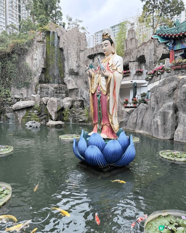 帶囡囡遊黃大仙！🤩🌳