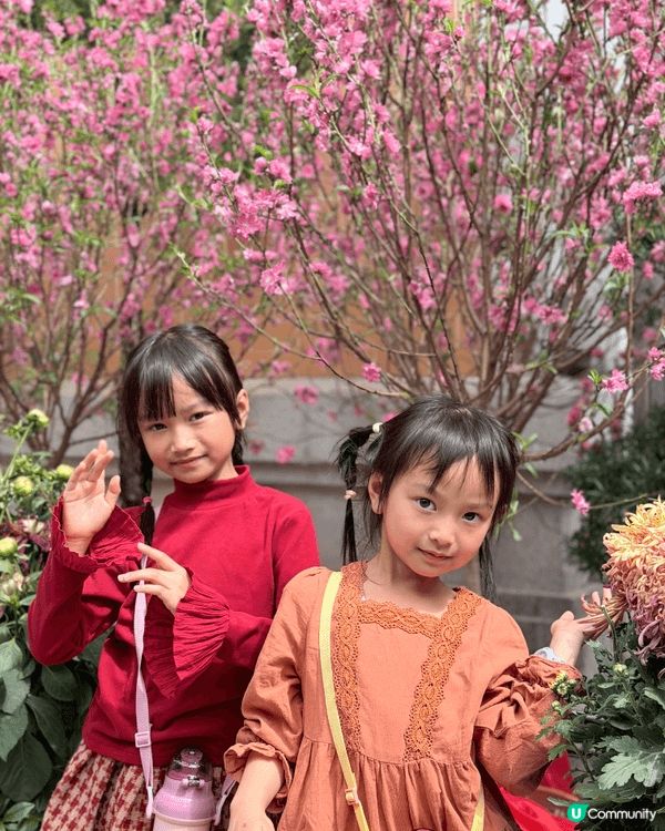 帶囡囡遊黃大仙！🤩🌳