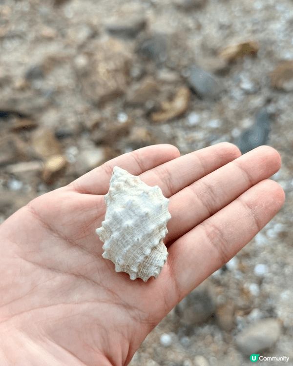 Weekend大尾篤一日遊😗去咗馬屎洲行山，再踩單車去BBQ...